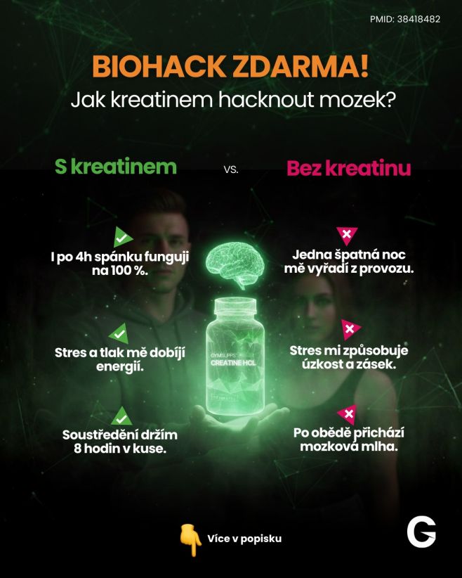 Možná ti ve fitku řeknou, že kreatin je na svaly 💪. Ale nejnovější data z roku 2024 ukazují něco, co mění pravidla hry:...